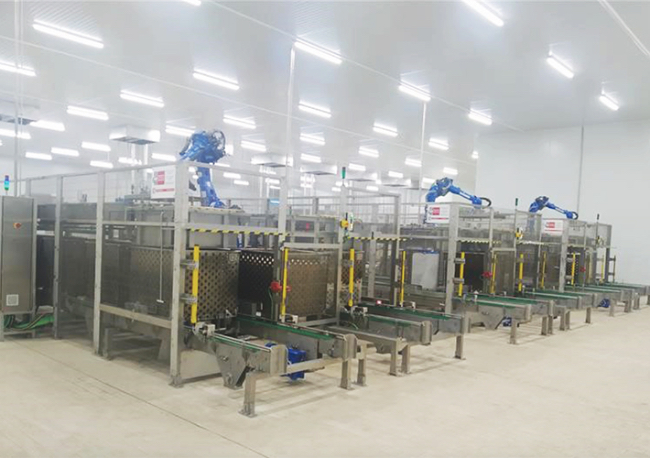 Foto Solución de encestonado y desencestonado de latas en carros para autoclave con robots Yaskawa realizada por DGH Robótica para la empresa de conservas Hijos de Carlos Albo.